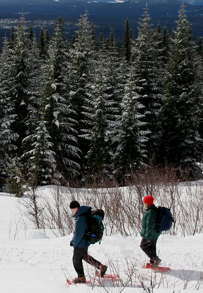 Riverview, a quieter winter trail nearby activity, riverfront luxury vacation rental in Silverthorne, Colorado