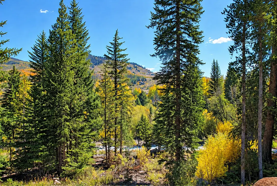 Riverview, autumn, riverfront luxury vacation rental in Silverthorne, Colorado
